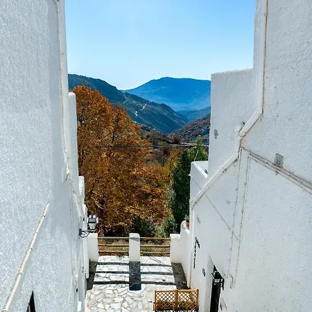 Casa Consuelo Appartement